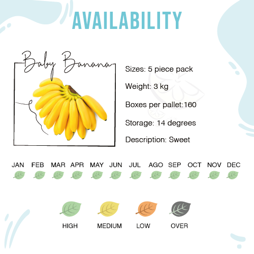 Características Baby Banana