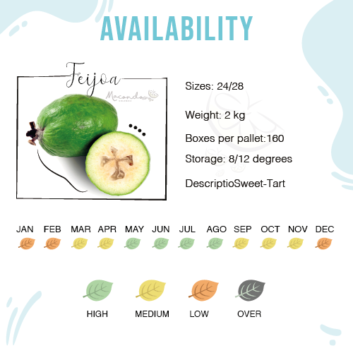 Características Feijoa