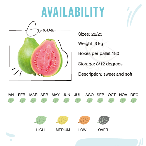 Características Guava