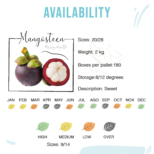 Características Mangosteen