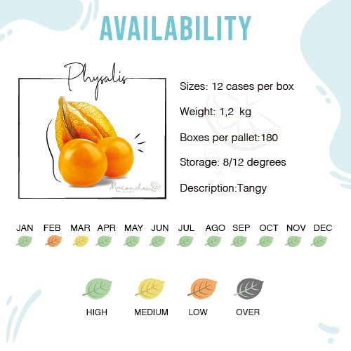 Características Physalis